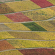 Illustration for article titled The Odd and Mesmerizing Aerial Photos of Klaus Leidorf